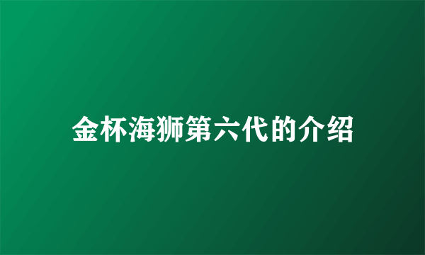 金杯海狮第六代的介绍