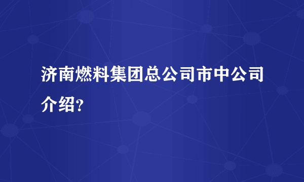 济南燃料集团总公司市中公司介绍？