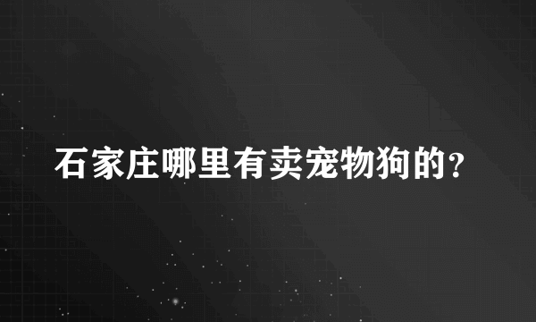 石家庄哪里有卖宠物狗的？