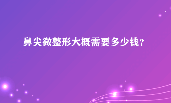 鼻尖微整形大概需要多少钱？