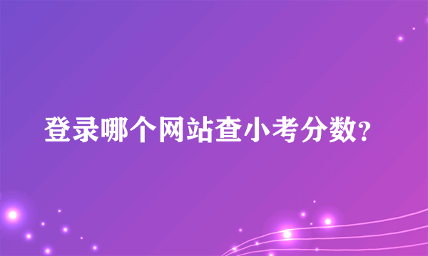 登录哪个网站查小考分数？