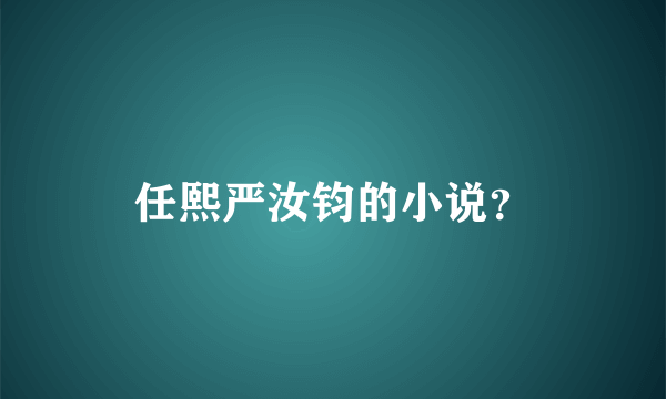 任熙严汝钧的小说？