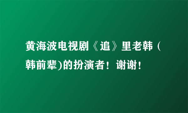 黄海波电视剧《追》里老韩（韩前辈)的扮演者！谢谢！