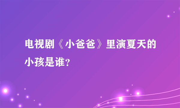 电视剧《小爸爸》里演夏天的小孩是谁？