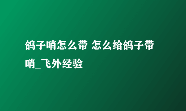 鸽子哨怎么带 怎么给鸽子带哨_飞外经验