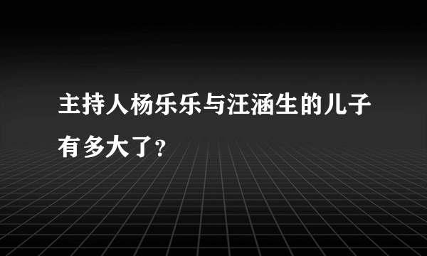 主持人杨乐乐与汪涵生的儿子有多大了？