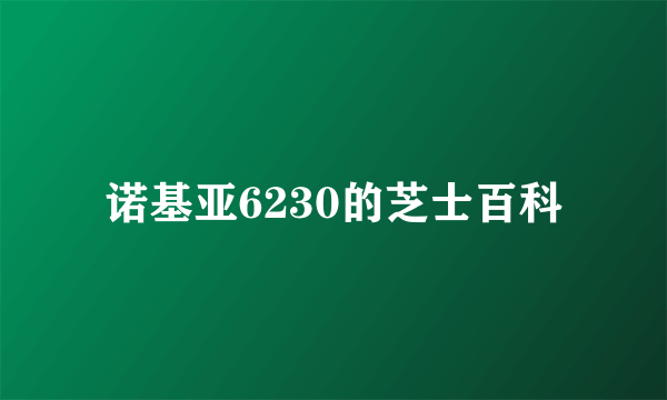 诺基亚6230的芝士百科