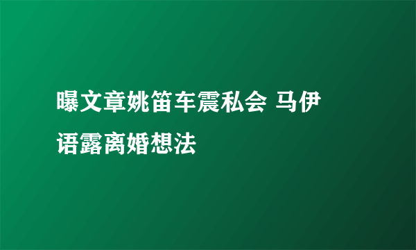 曝文章姚笛车震私会 马伊琍语露离婚想法