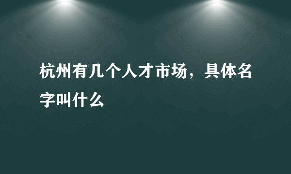 杭州有几个人才市场，具体名字叫什么