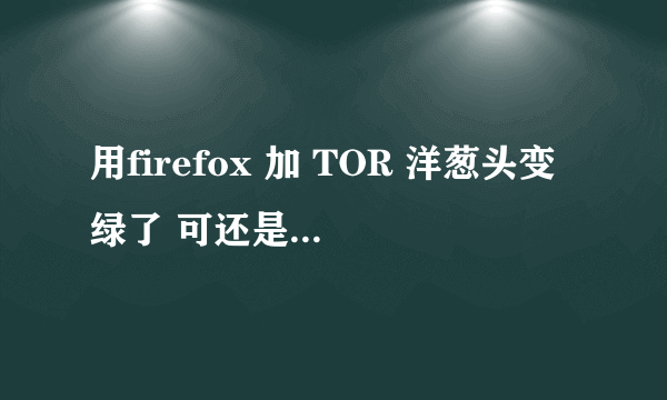 用firefox 加 TOR 洋葱头变绿了 可还是不能上啊？？