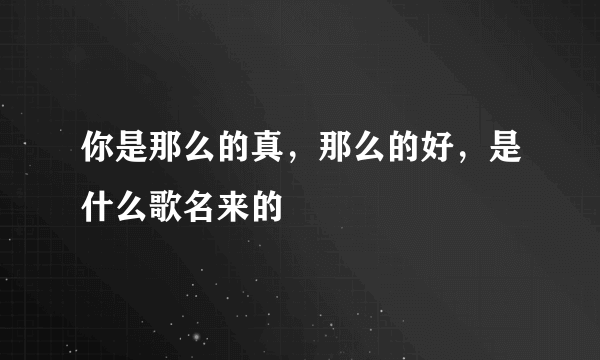 你是那么的真，那么的好，是什么歌名来的