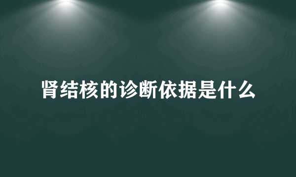 肾结核的诊断依据是什么