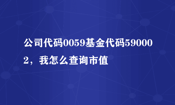 公司代码0059基金代码590002，我怎么查询市值