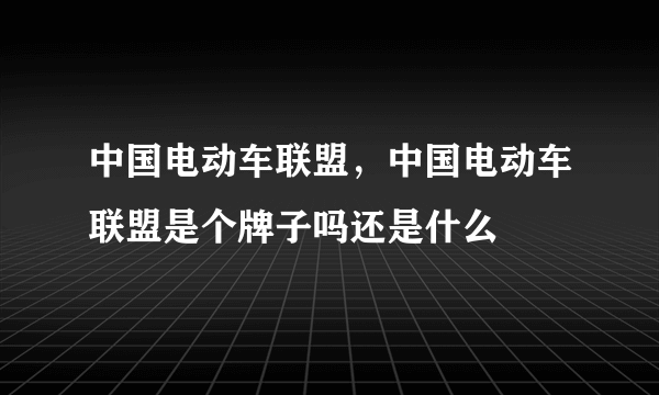 中国电动车联盟，中国电动车联盟是个牌子吗还是什么