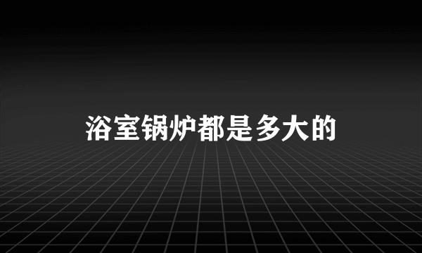 浴室锅炉都是多大的