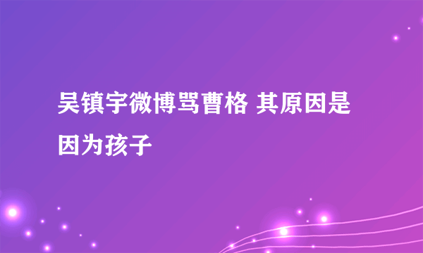 吴镇宇微博骂曹格 其原因是因为孩子