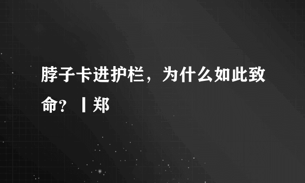 脖子卡进护栏，为什么如此致命？丨郑堃