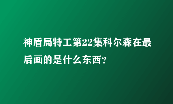 神盾局特工第22集科尔森在最后画的是什么东西？