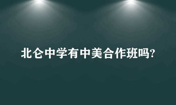 北仑中学有中美合作班吗?