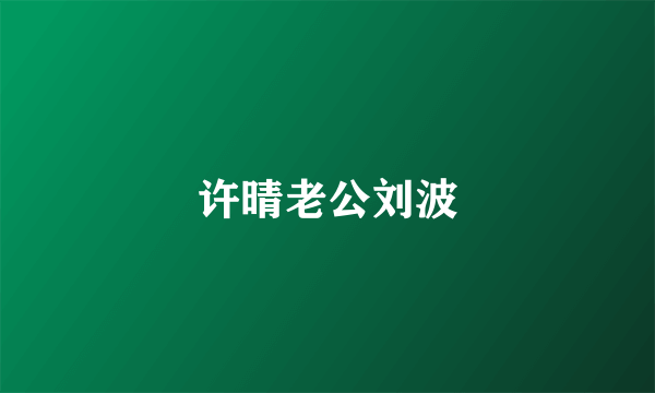 许晴老公刘波