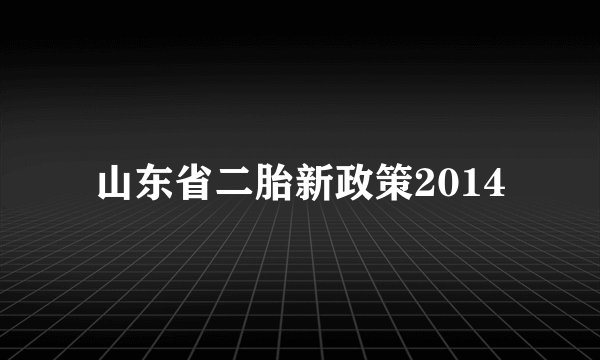 山东省二胎新政策2014