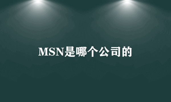 MSN是哪个公司的