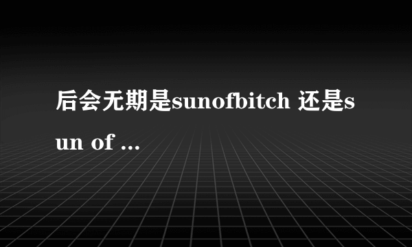 后会无期是sunofbitch 还是sun of beach