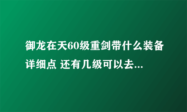 御龙在天60级重剑带什么装备详细点 还有几级可以去搞极品装备了啊