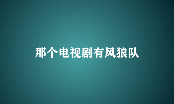 那个电视剧有风狼队