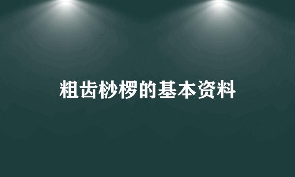 粗齿桫椤的基本资料