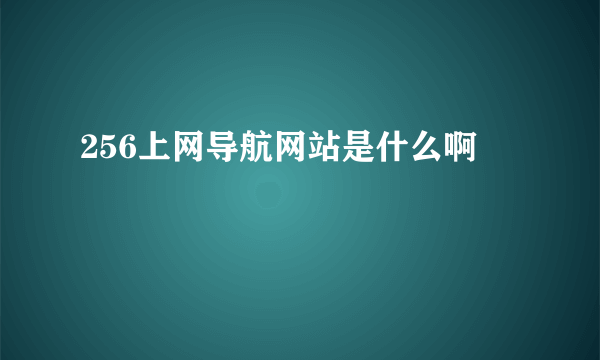 256上网导航网站是什么啊