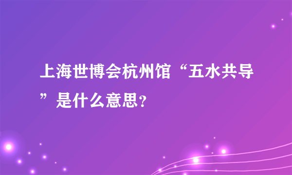 上海世博会杭州馆“五水共导”是什么意思？