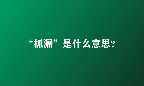 “抓漏”是什么意思？