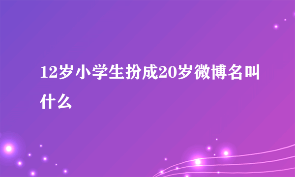 12岁小学生扮成20岁微博名叫什么