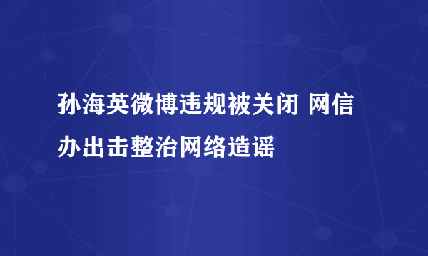 孙海英微博违规被关闭 网信办出击整治网络造谣