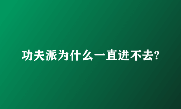 功夫派为什么一直进不去?