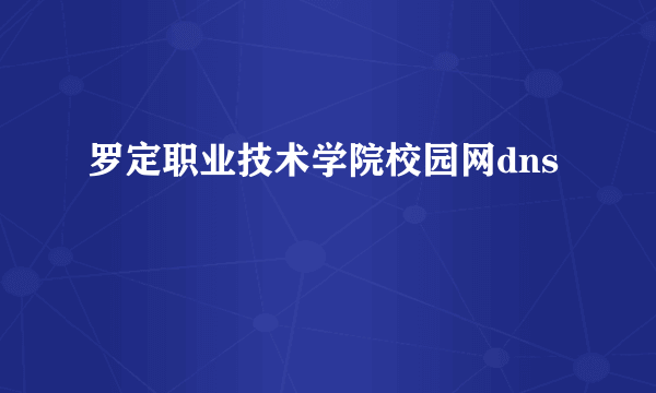 罗定职业技术学院校园网dns