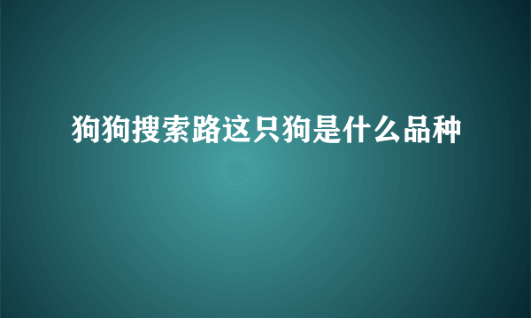 狗狗搜索路这只狗是什么品种