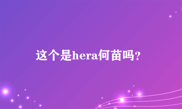 这个是hera何苗吗？