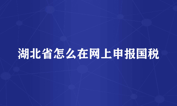 湖北省怎么在网上申报国税