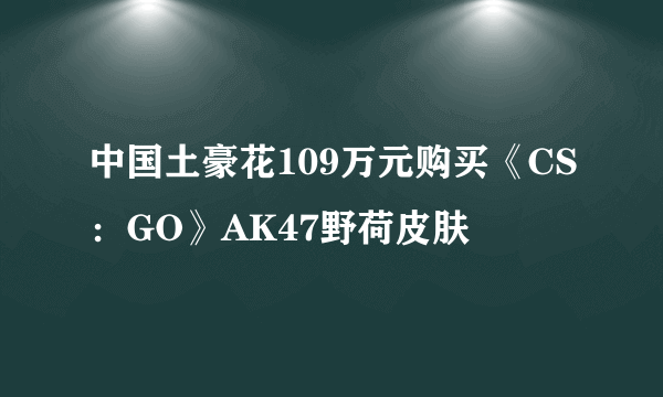 中国土豪花109万元购买《CS：GO》AK47野荷皮肤