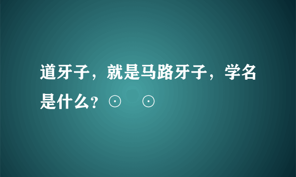 道牙子，就是马路牙子，学名是什么？⊙﹏⊙