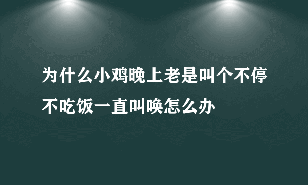 为什么小鸡晚上老是叫个不停不吃饭一直叫唤怎么办