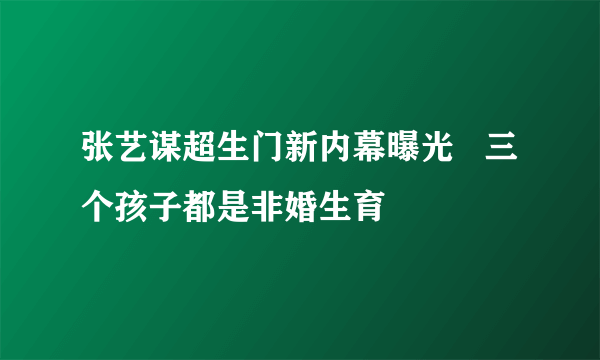 张艺谋超生门新内幕曝光   三个孩子都是非婚生育