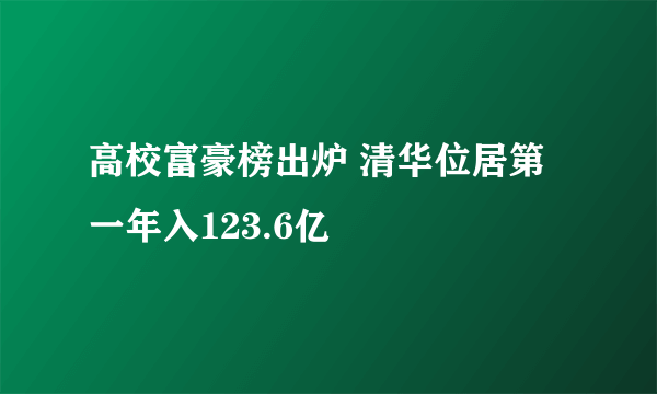 高校富豪榜出炉 清华位居第一年入123.6亿