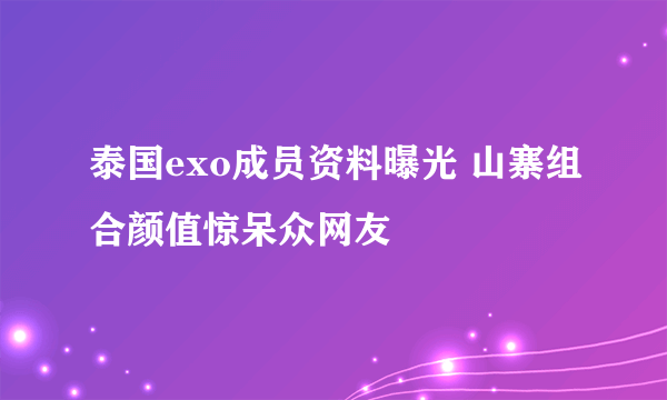 泰国exo成员资料曝光 山寨组合颜值惊呆众网友