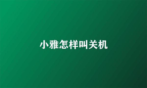 小雅怎样叫关机