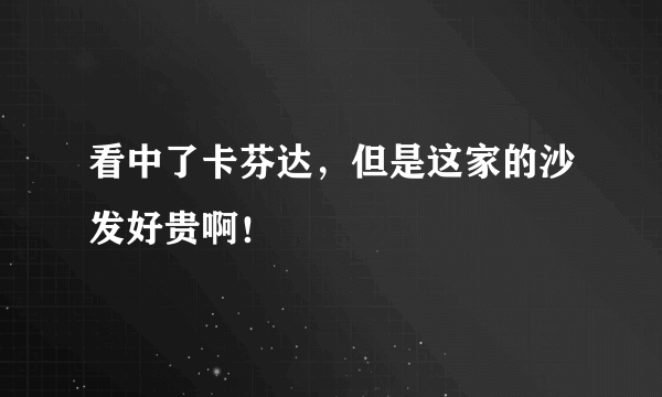 看中了卡芬达，但是这家的沙发好贵啊！