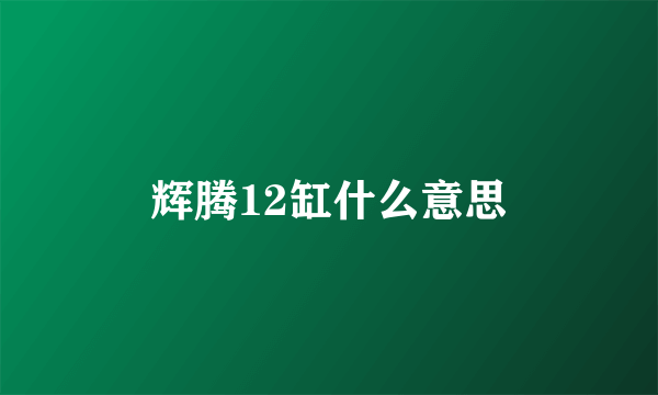 辉腾12缸什么意思