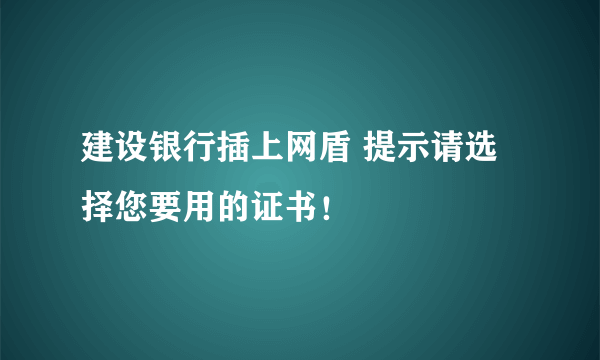 建设银行插上网盾 提示请选择您要用的证书！